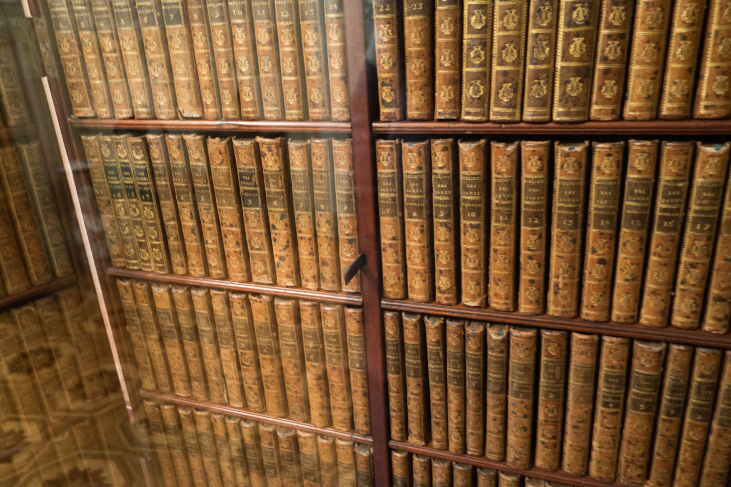 Antique books and first editions