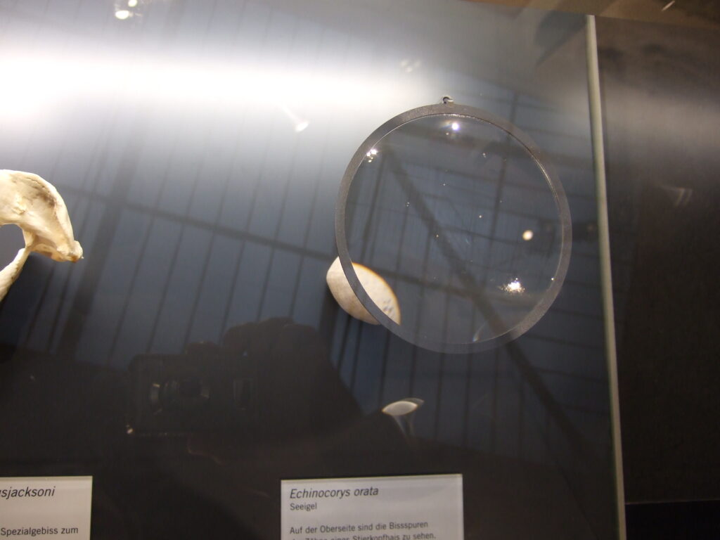 Examining a collectible with magnification