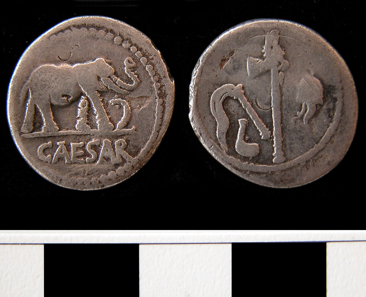Roman silver denarius of Julius Caesar, elephant trampling carnyx, c. 49-48 BC